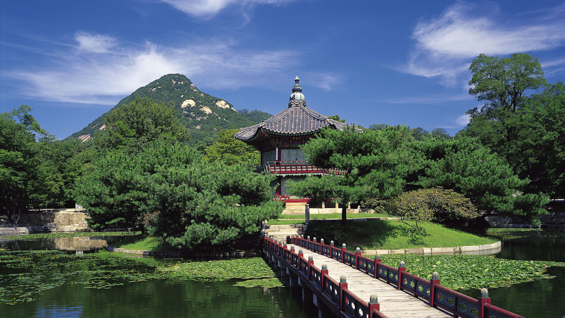 开云体育官网-法兰克福决斗斯图加特，保级战火激烈，斯图加特和法兰克福比赛结果