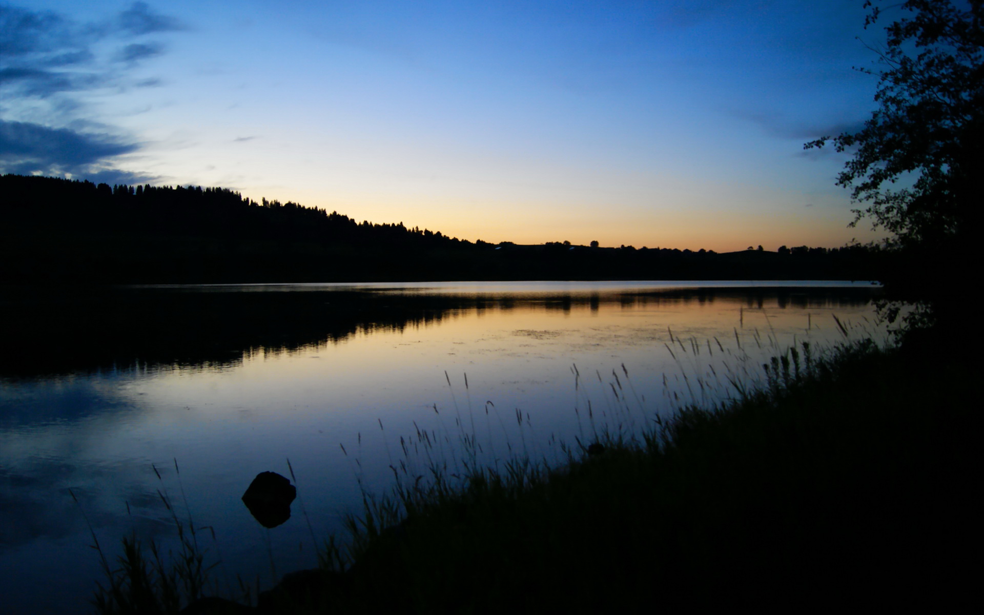 开云体育安全平台-五大联赛主力与替补表现差距对积分边际影响评估，五大联赛主场胜率