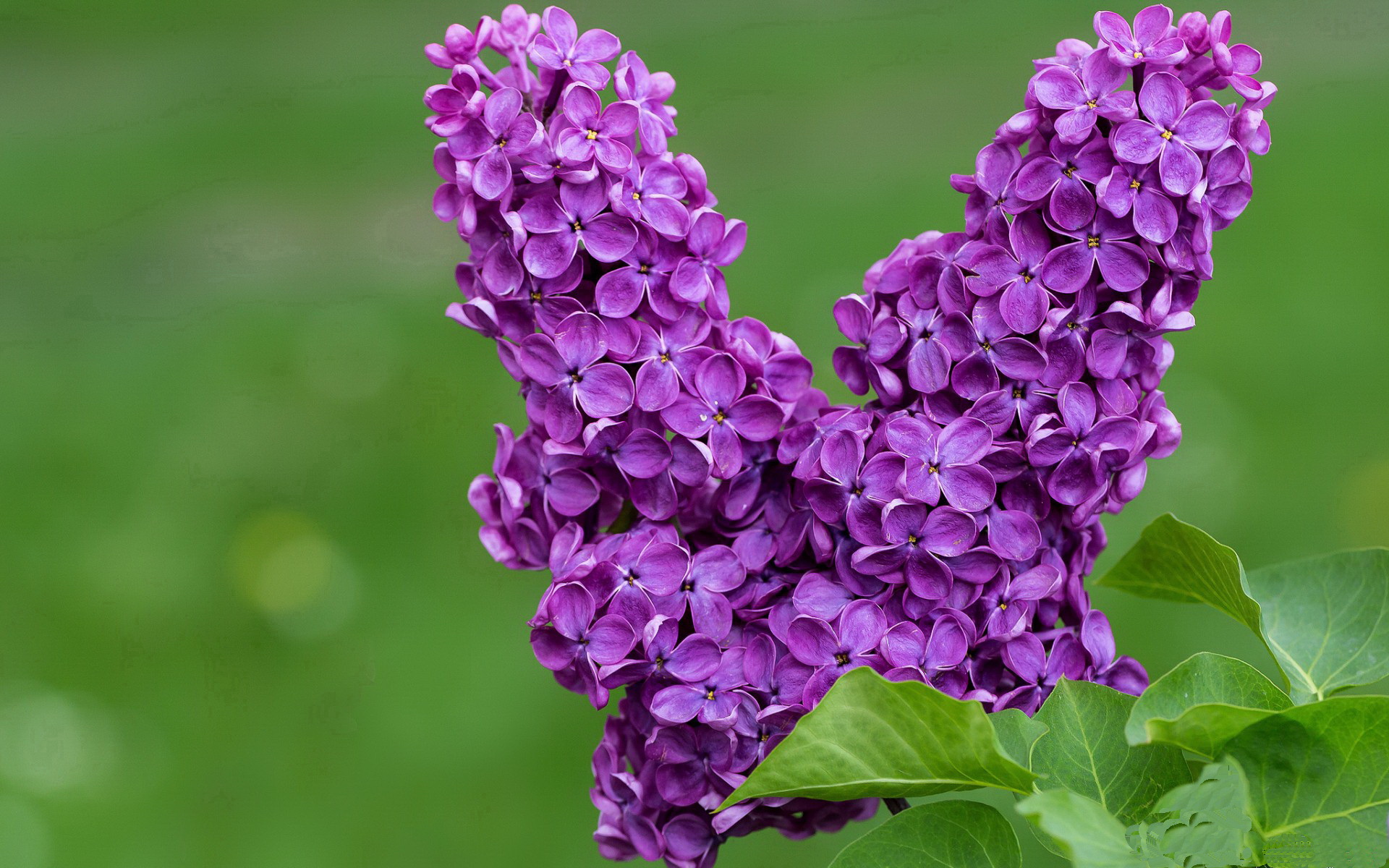 开云体育下载网页版-体育新闻中心发布体育传播技术演进路径研究成果，体育传播效果