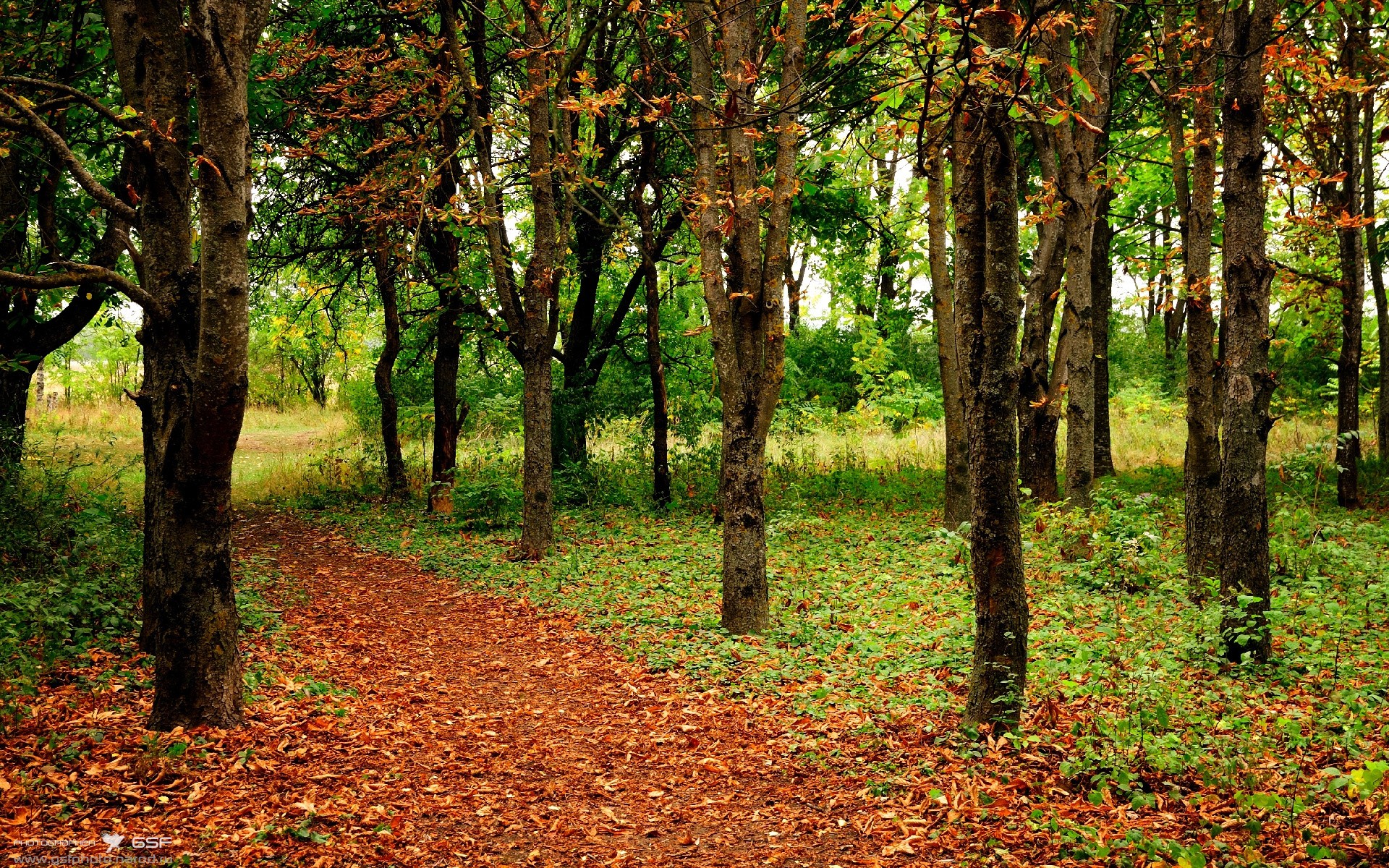 kaiyun app download-校园足球摄影大赛激发学生参与热情,足球摄影获奖作品