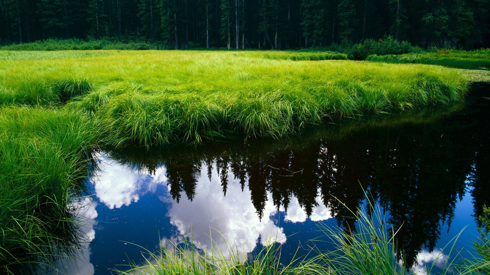 开云体育平台APP-运动员运动伤害预防与康复新技术逐步推行,预防运动员损伤及治疗运动员损伤的重要手段