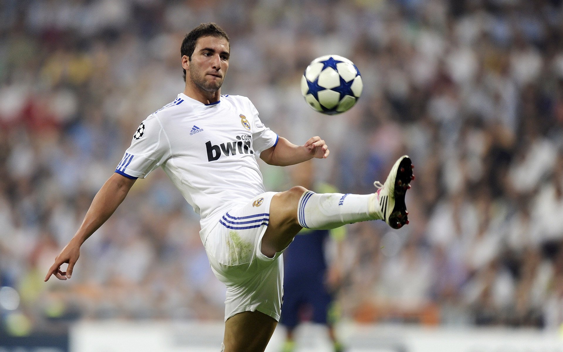 “德甲最后冲刺：争冠队伍形势逐渐明朗”，德甲最后一轮看点