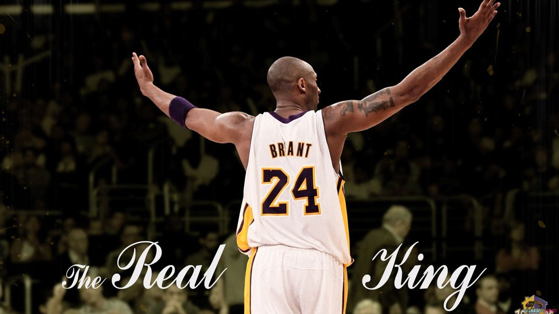 剧场内外的对决：场上场下的激烈斗争，剧场的剧